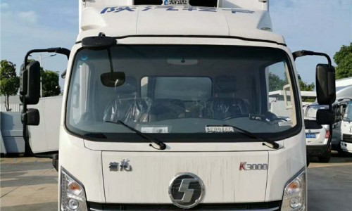 國(guó)六陜汽德龍冷藏車(chē) 